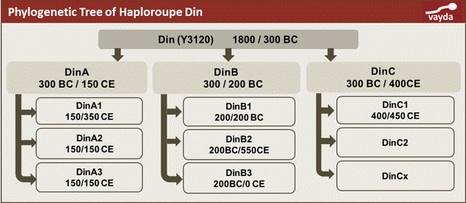 Phylogenetic-tree-hg-Dinaric.gif